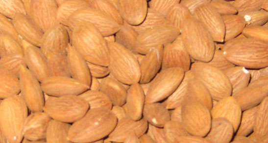 Almond